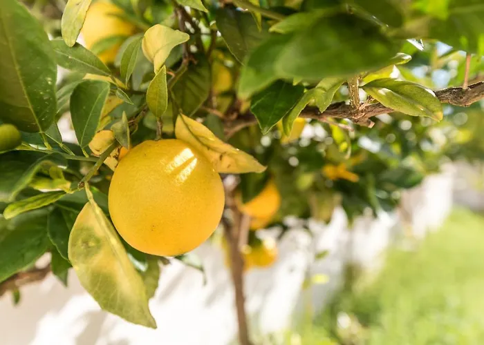 Im On Casa Das Anas 别墅